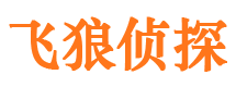 凤翔市侦探公司